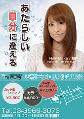駅広告(2011年1月)