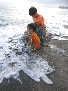 DSC_0856 (002).JPG