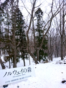 DSC_1276.JPG