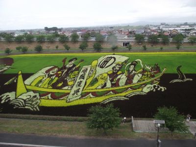 田んぼ 2.jpg