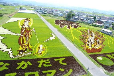 田んぼ1.jpg