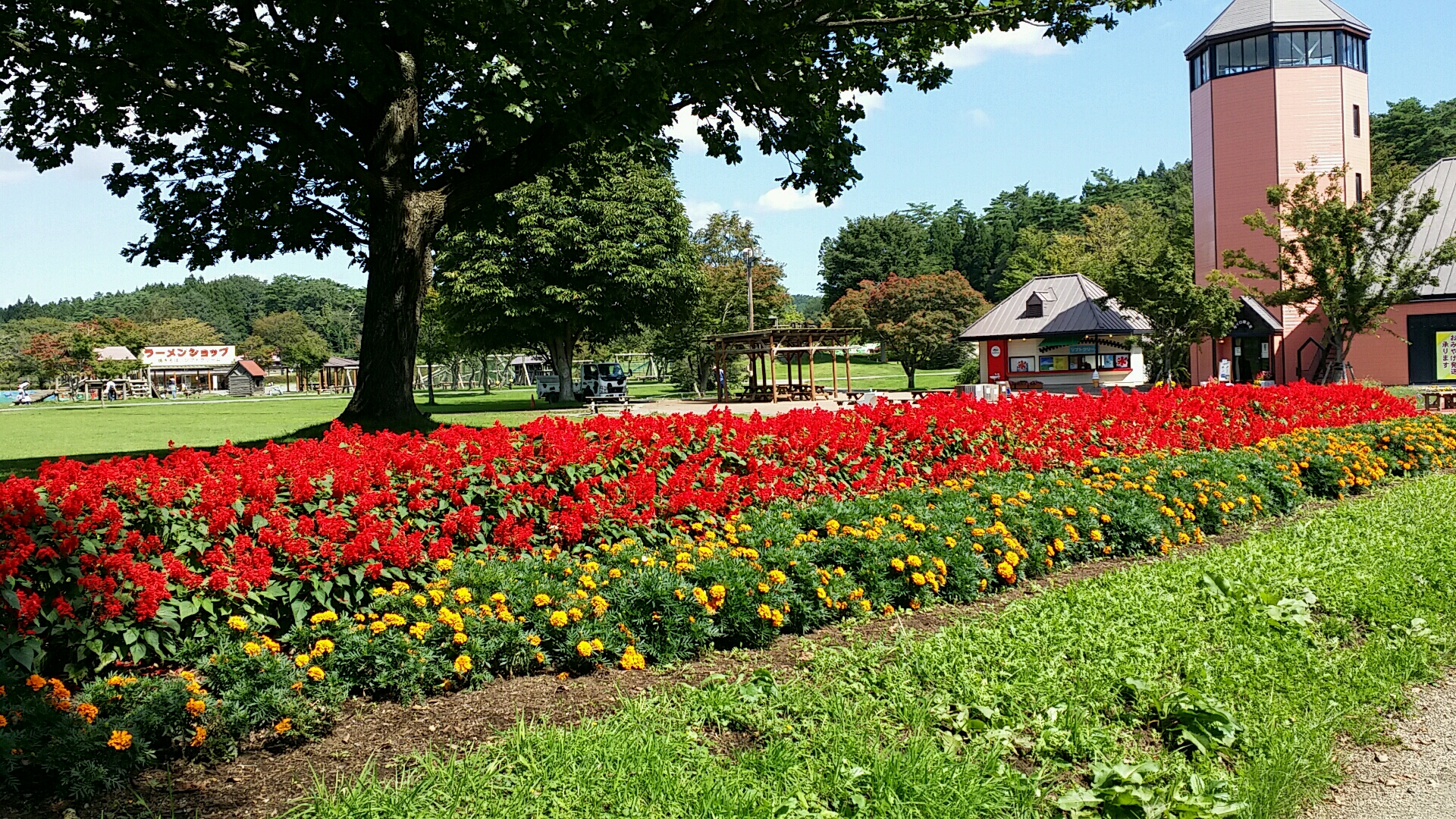 20150915_111214_307.jpg