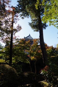 IMGP2637.JPG