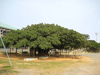 nihonnitinogajyu.jpg