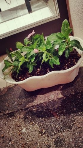 1-LINEcamera_share_2015-05-04-21-05-53.jpg